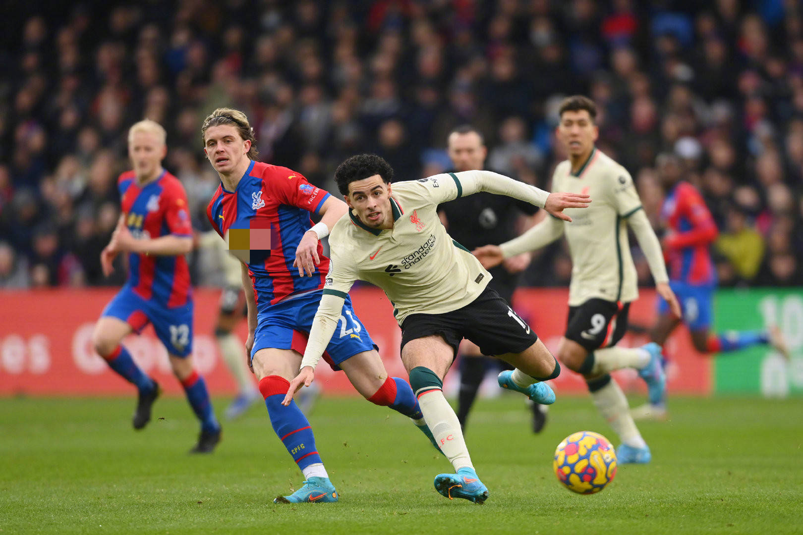 球星回归的 球星回归的